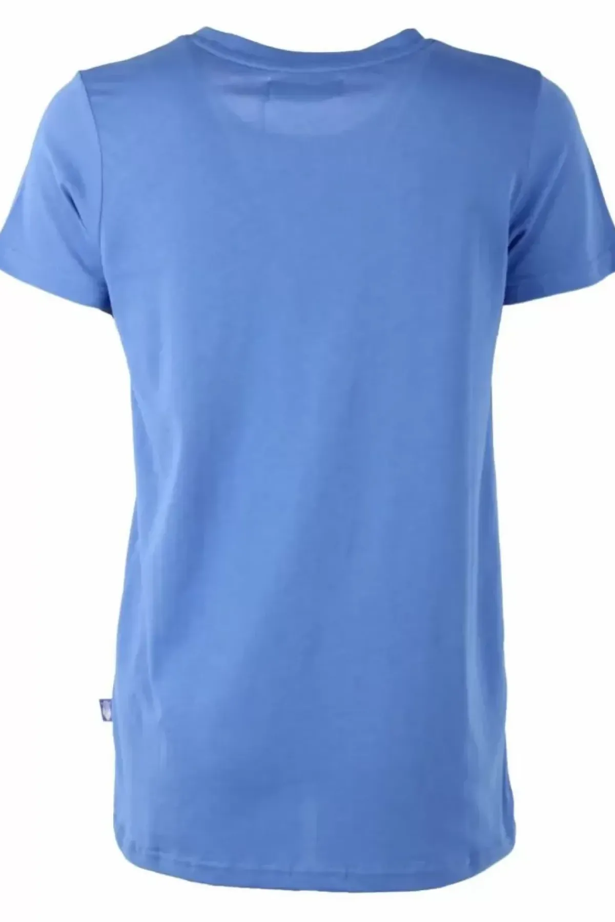 Danefæ T-Shirts>Danebasicladies Ss T Ice Blue Freja