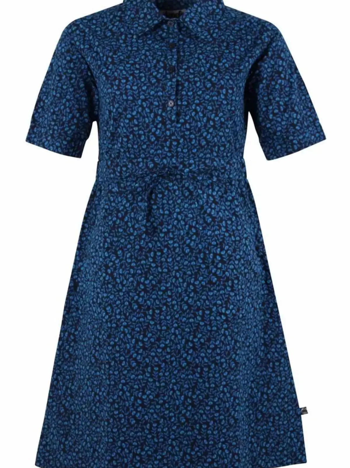 Danefæ Kleider>Danesusanne Poplin Dress Dusty Blue Fleurie