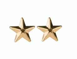 Danefæ Schmuck>Pico Cph Star Studs Guldbelagt
